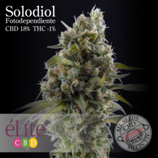 Huile de CBD - 2,75 % - 10 ml (275 mg) – Sensi Seeds